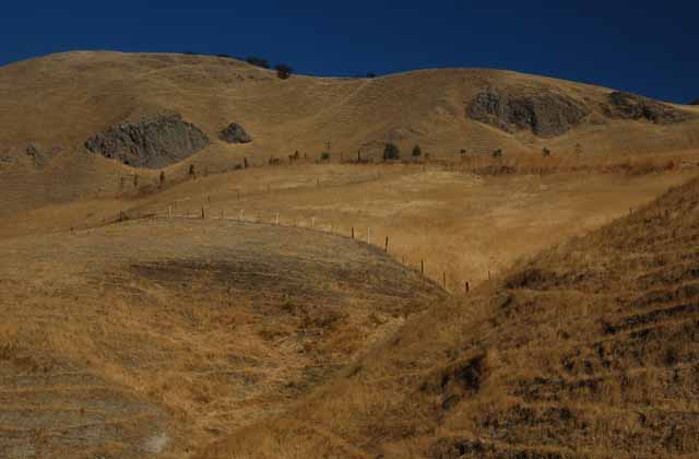 Corral Hollow Road